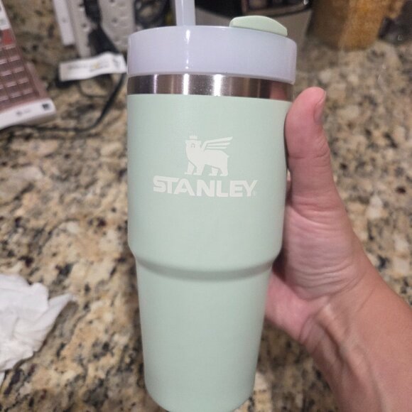Stanley Other - 14 Oz stanley cup mint green